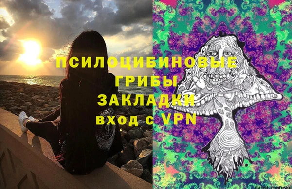 первитин Арсеньев
