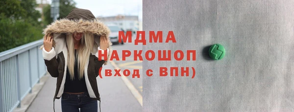 хмурый Аркадак