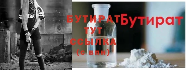 хмурый Аркадак