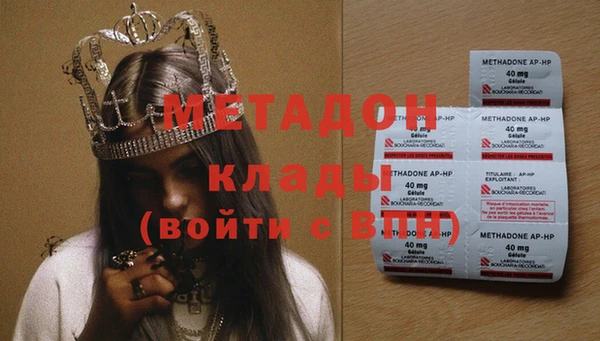 хмурый Аркадак