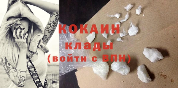 хмурый Аркадак