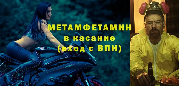 хмурый Аркадак