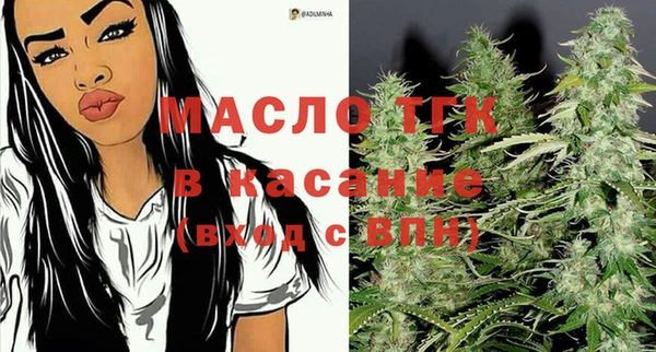 хмурый Аркадак