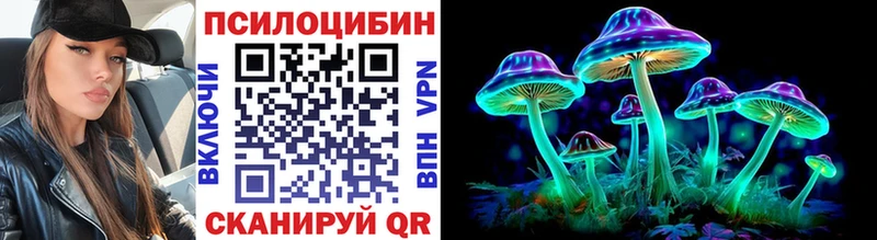 shop официальный сайт  OMG вход  Псилоцибиновые грибы ЛСД  Городец  как найти закладки 