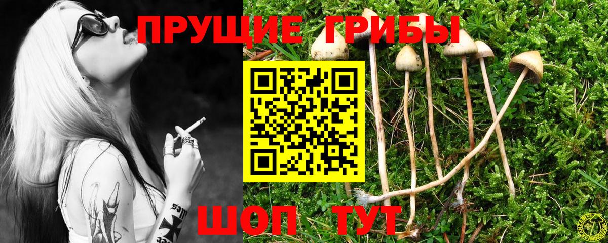 Псилоцибиновые грибы Magic Shrooms  Вход с VPN  как найти   Городец 