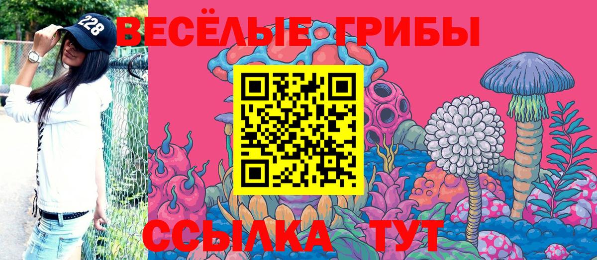 Псилоцибиновые грибы GOLDEN TEACHER  Городец 