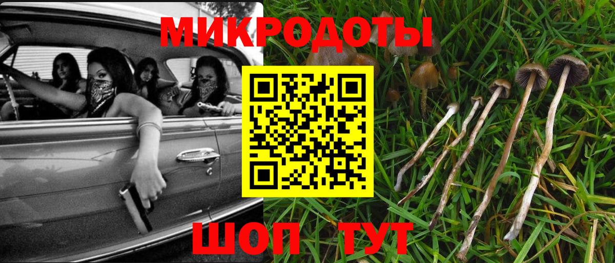Псилоцибиновые грибы GOLDEN TEACHER Городец